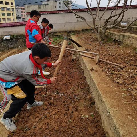 我劳动我快乐——务川县茅天中心完小简报