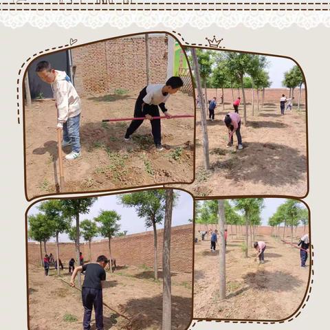 迎五一  劳动基地除草忙——铁家小学劳动基地除草活动剪影