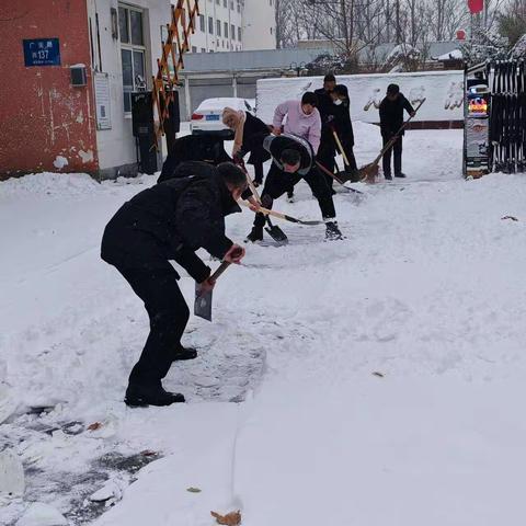 肥乡区生态环境分局开展扫雪活动