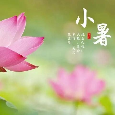 悦享二十四节气_小暑