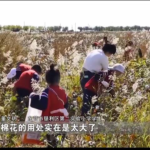 喜报：垦利二小学“学农”劳动科技研学实践活动在全国教育新闻联播播发