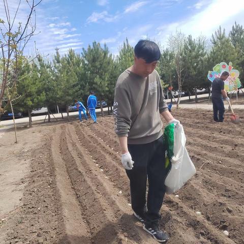 乌额格其学校“种土豆”劳动实践教育活动