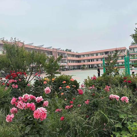 武丘中心小学暑假托管班开班报名了！