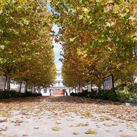 落实“双减”，我们在行动-武丘中心小学第十二期社团活动