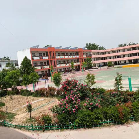 落实“双减”，我们在行动-武丘中心小学第十期社团活动