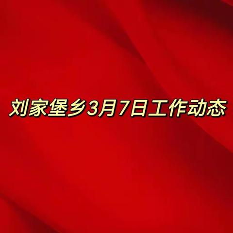 刘家堡乡3月7日工作动态
