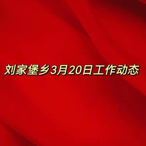 刘家堡乡3月20日工作动态