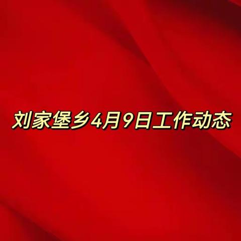 刘家堡乡4月9日工作动态