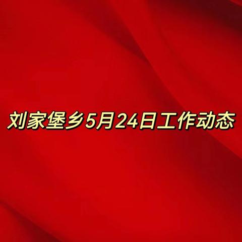 刘家堡乡5月24日工作动态