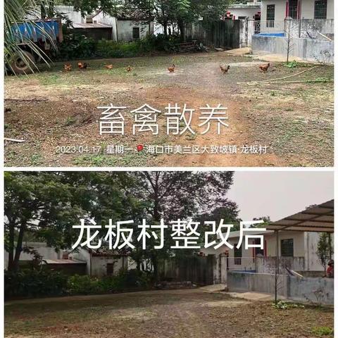 美兰区大致坡镇完成交叉考核存在问题整改工作