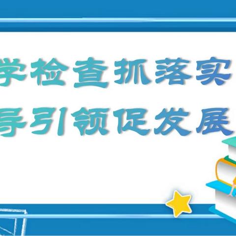 督学检查抓落实 督导引领促发展