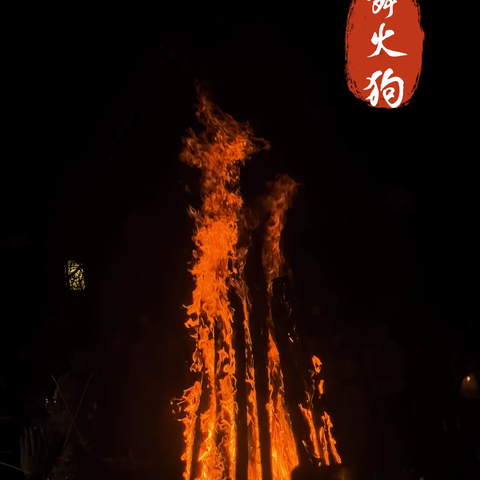 中秋寻韵蓝田乡，火狗起舞承非遗