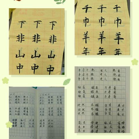 夏日成长季・三年级暑假特色作业成果巡礼