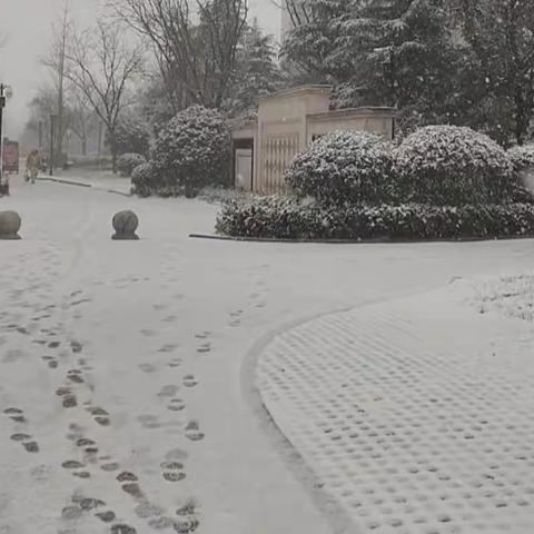 雪落知寒意，扫雪暖人心