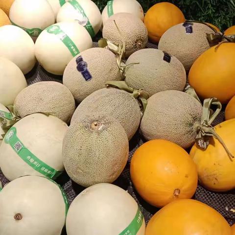 阳逻店五星营运检查报告（2023年5月11日）