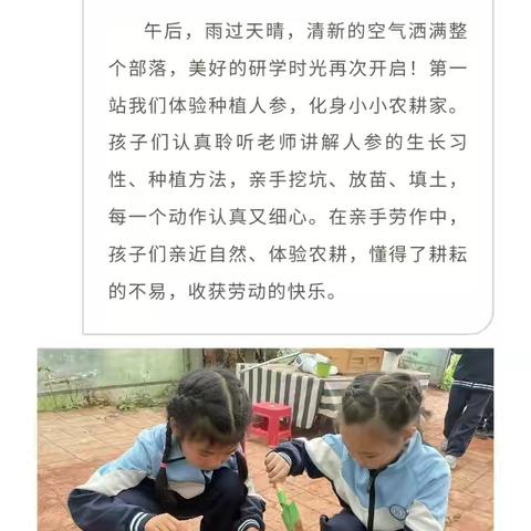 快乐实践 · 探索未知——重庆市大渡口区自启学校2026年春季研学