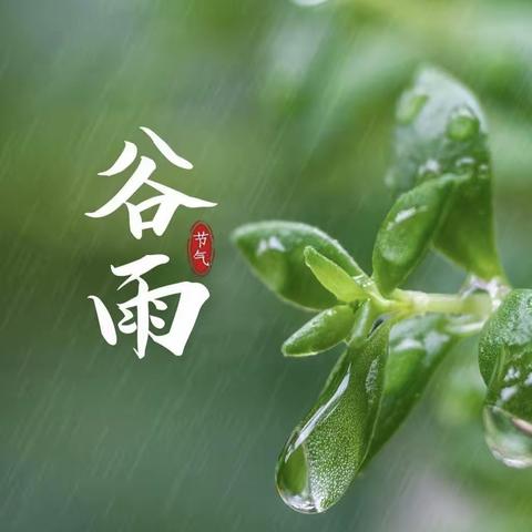 【东幼小班组】二十四节气——谷雨