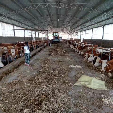 什么让我泪流满面