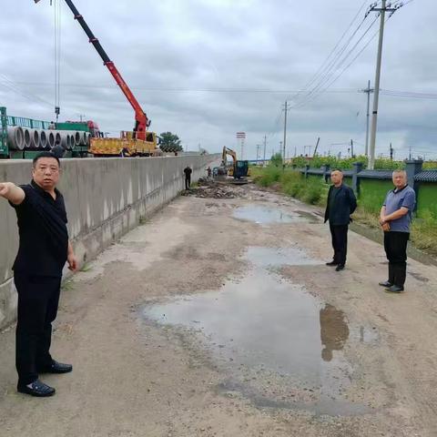 太平川镇干群齐心  共筑防汛排涝坚固防线