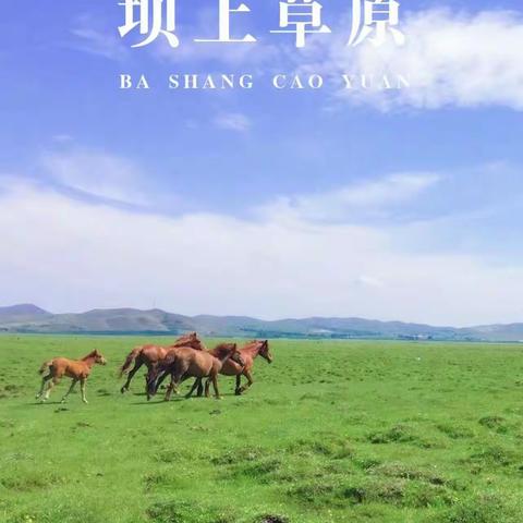 2024暑期5天4晚天津+草原写生游学之旅！