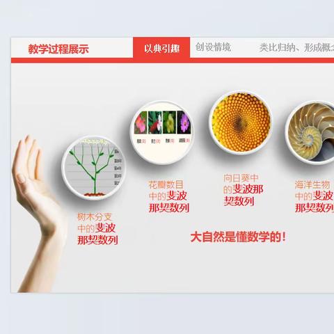 关于钟登红老师执教的《自然数学之数列的概念》点评课活动