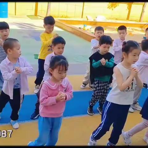 京师幼学君悦山幼儿园✨️苗苗二班一周总结