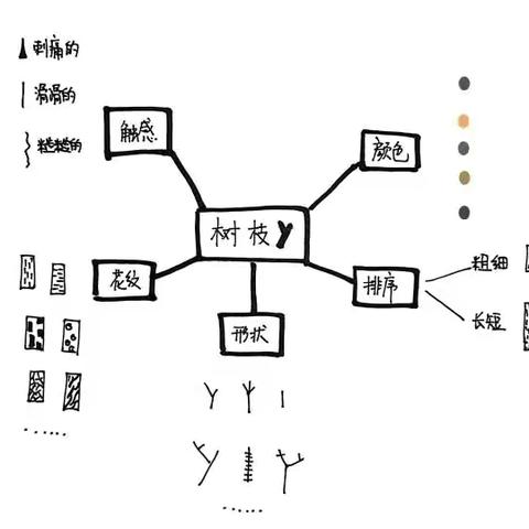 一幼课程故事:     自主游戏之千“枝”百态