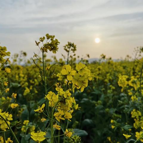 南桥视窗3月份工作月报