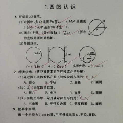 周至县第三小学六年级数学学科素养与能力提升优秀作业展