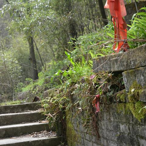 漫步“青山”，宗圣宫“觅宗”，笔墨渲染生机意蕴 ——《走遍中国》采风写生活动笔记之二