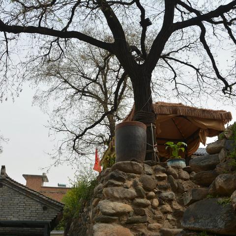 寻味古村“慢生活”，留住乡愁“致富路” ——《走遍中国》采风写生活动笔记之三