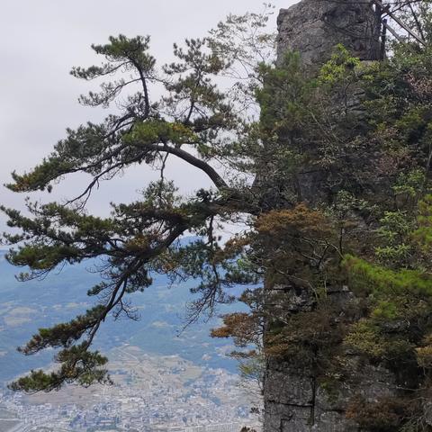 学而有法知愈进 行之有道识愈达——洛南县第二高级中学高三年级举办学法讲座