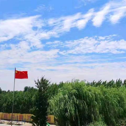 请人民阅卷——梁山县馆驿镇王庄小学2024年度工作报告