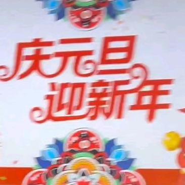 童心庆元旦，快乐迎新年——梁山县馆驿镇王庄小学元旦联欢活动