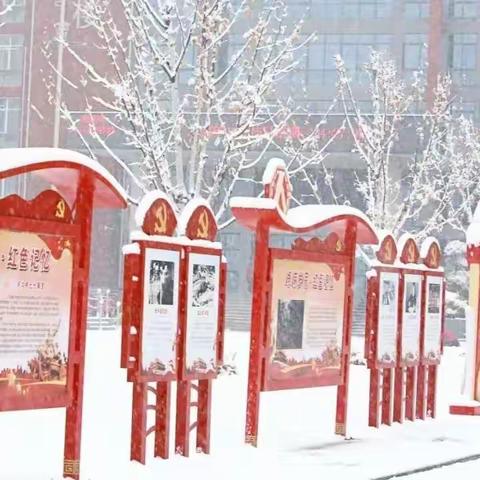 除冰扫雪 情暖校园 党员在行动