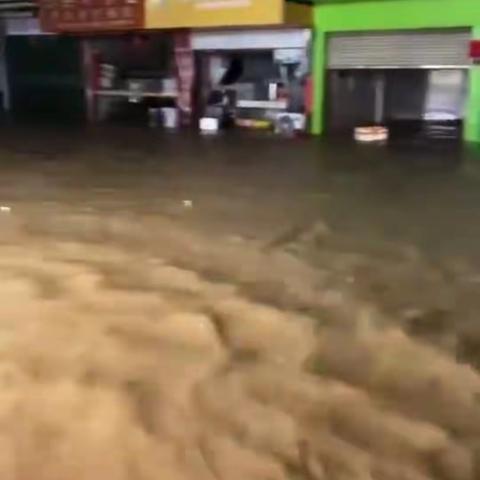 船步镇台风过后有序恢复中