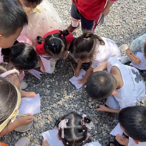 中二班班本课程——虫虫，虫虫飞