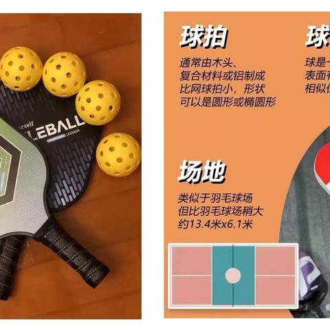 定兴县北南蔡乡中心小学 ‍开展匹克球推广活动