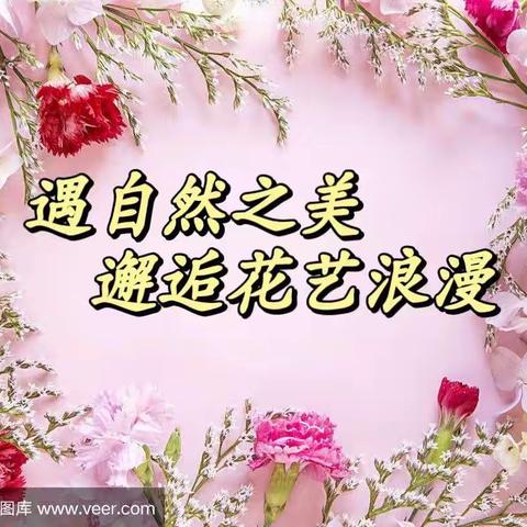 合阳县小灵童幼儿园中二班⭐️“插花”艺术课程——遇自然之美 邂逅花艺浪漫