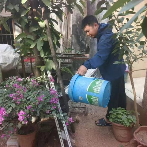 崖城村联合区卫健委持续开展周末大扫除活动