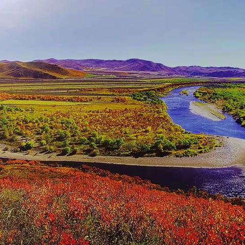 立足国家智慧平台       提升备学教评能力