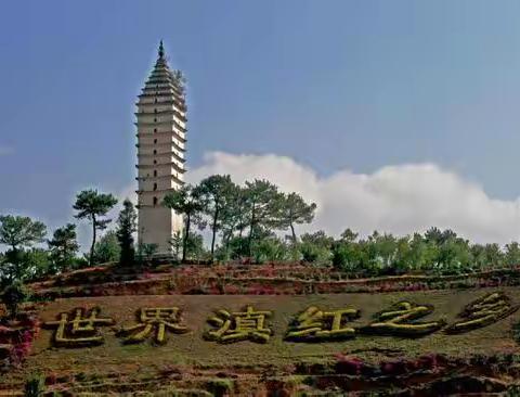 凤山镇平村中心学校致学生家长的安全告知书