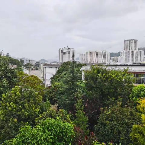 平村中心学校雨水天安全防范告知
