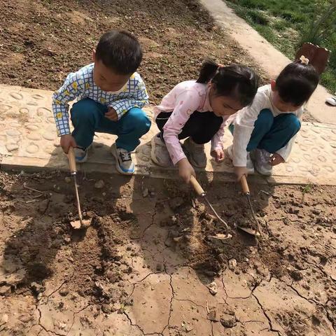 种出绿色，植出快乐