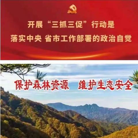 龙凤山林场南康森林管护站2024年2月1日工作动态。