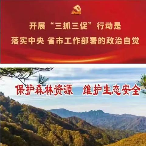 清明节告林区群众书：