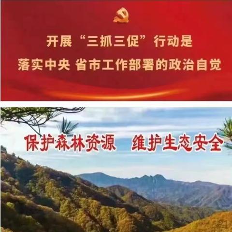 龙凤山林场副场长张越强一行赴南康森林管护站督导重点工作
