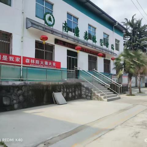林间遇“精灵”！龙凤山林场南康管护站巡护偶遇黄麂，尽显生态和谐之美