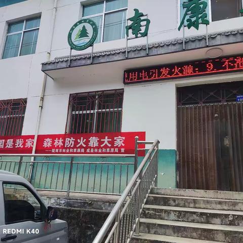 珍稀羚牛现身林区 见证成县生态保护丰硕成果