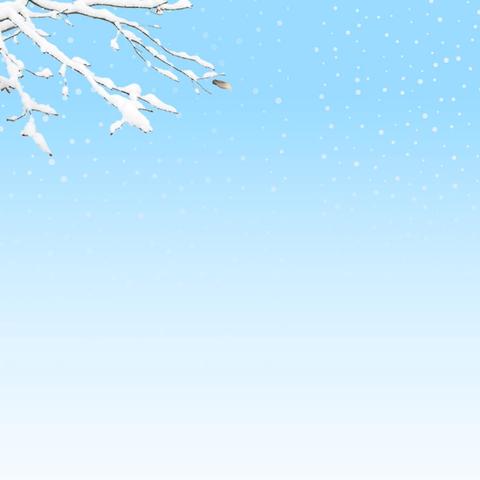 轻盈小雪至 小雪暖寒冬